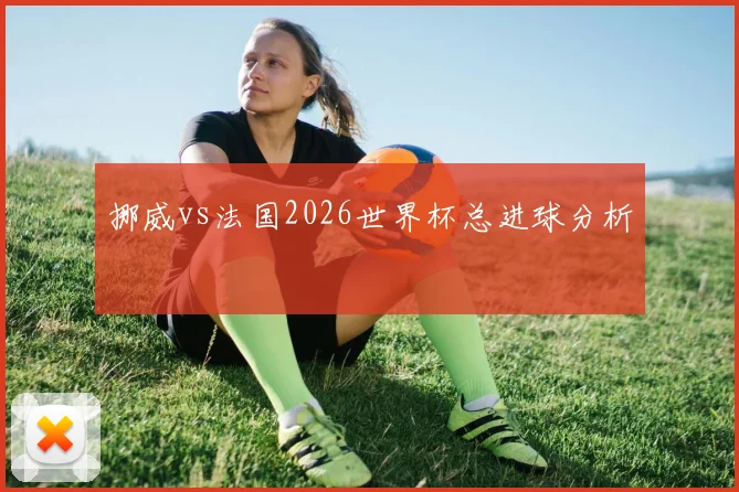 挪威vs法国2026世界杯总进球分析