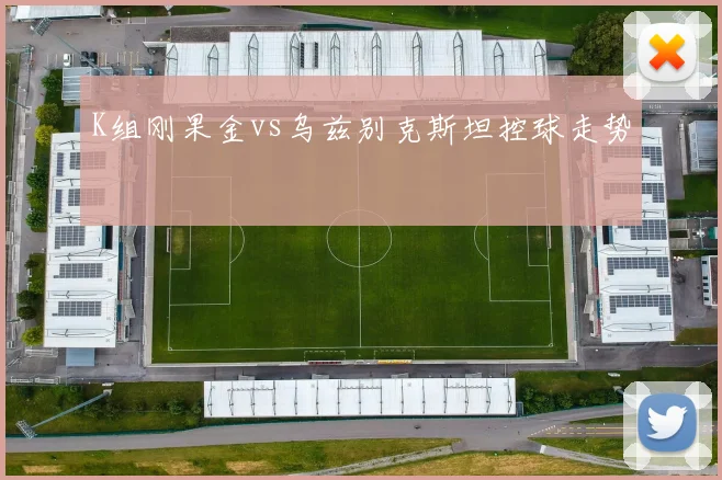 K组刚果金vs乌兹别克斯坦控球走势