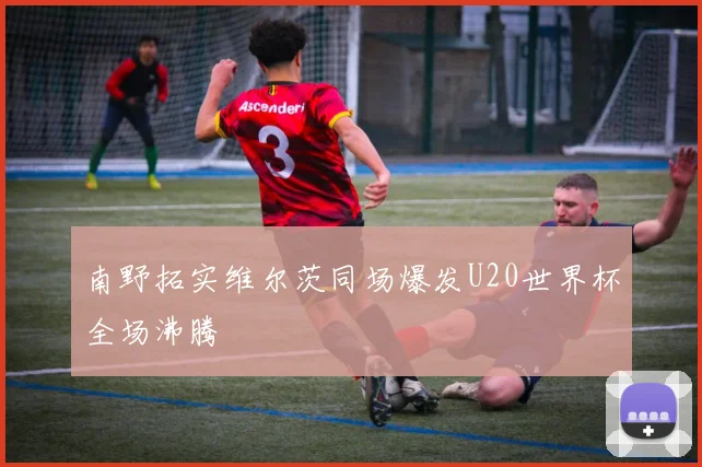 南野拓实维尔茨同场爆发U20世界杯全场沸腾