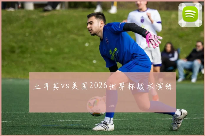土耳其vs美国2026世界杯战术演练