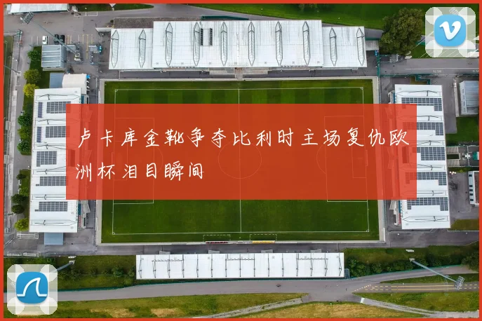 卢卡库金靴争夺比利时主场复仇欧洲杯泪目瞬间