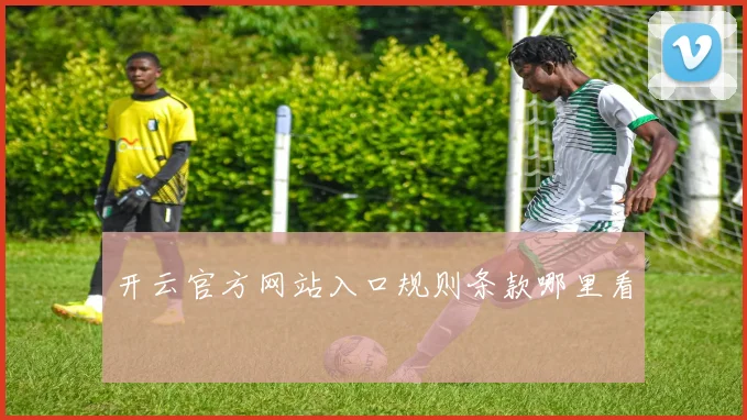 开云官方网站入口规则条款哪里看