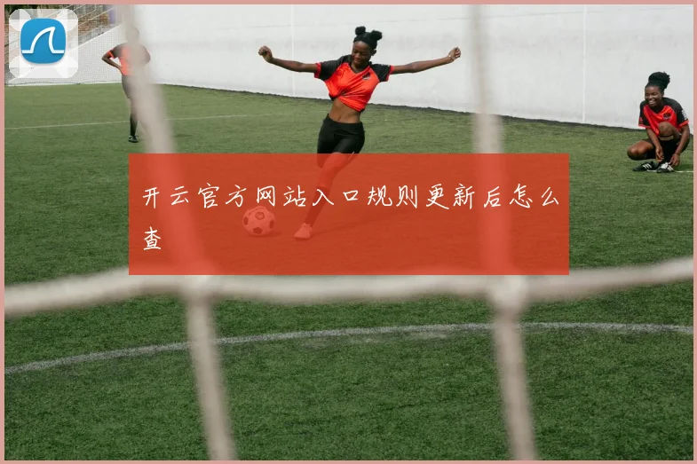 开云官方网站入口规则更新后怎么查